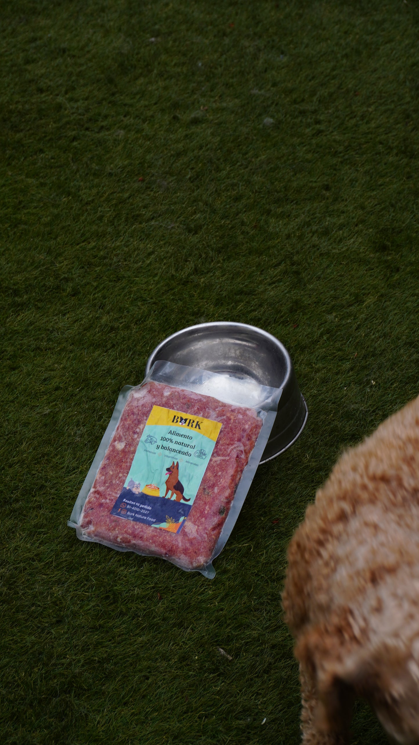 🐾 Bark Mini – Porción de 300g